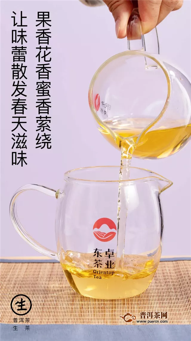东卓茶业：新品品鉴.龙珠生茶，高端茶礼新贵