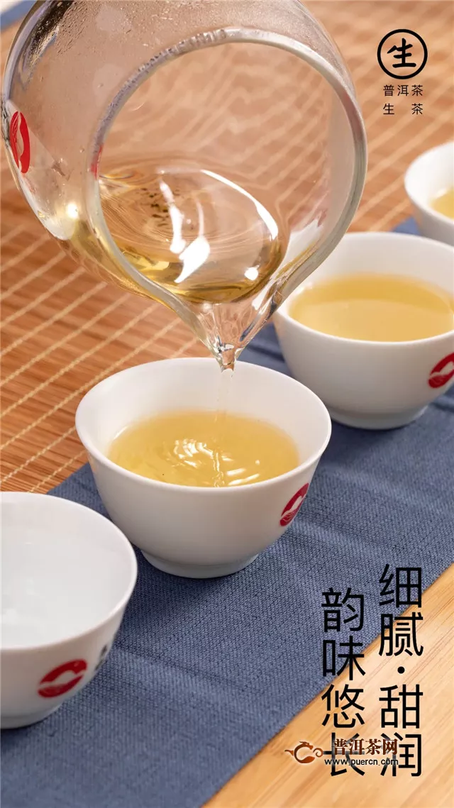 东卓茶业：新品品鉴.龙珠生茶，高端茶礼新贵