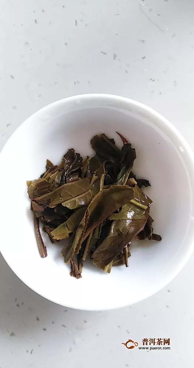 初聞不知茶中意，再品已是茶中人：2019年七彩云南春古茶·忙肺