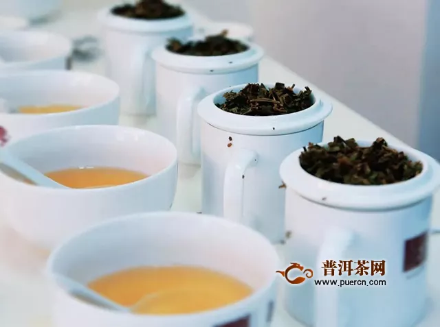 大益茶饮：茶味至味，茶叶滋味大揭秘