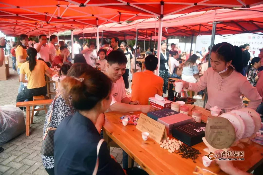 300多名茶友茶人相聚“茶乡酒镇”东平品鉴政和白茶，助推茶品质提升！