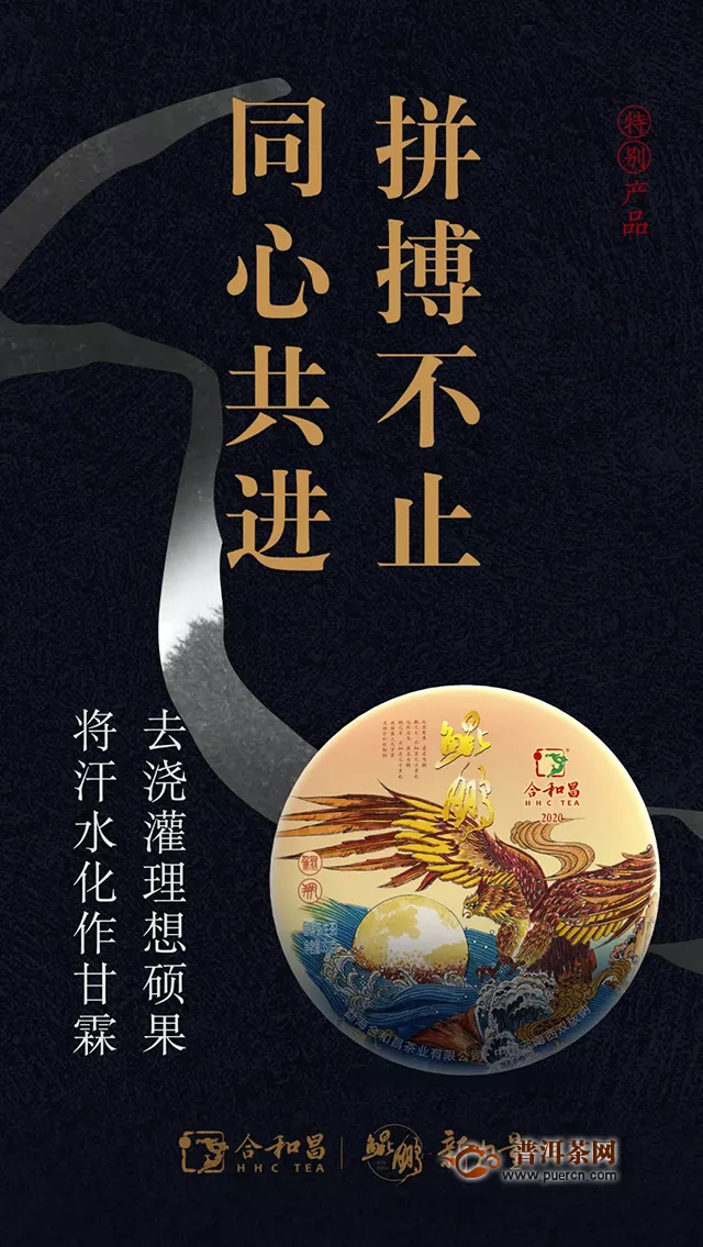 合和昌勐海體驗(yàn)中心隆重開業(yè)：鯤鵬展翅，昇騰萬里