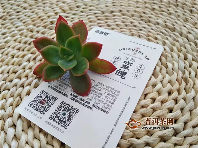 吉普號(hào)2020年潛山403布朗蠻魄：鮮苦甜潤(rùn)，豐韌健朗