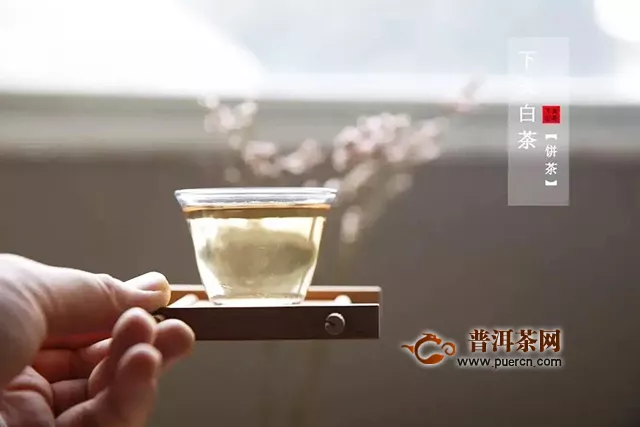 下關白茶：茶之白雪公主