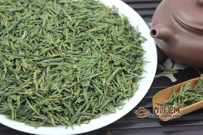 綠茶適應(yīng)人群