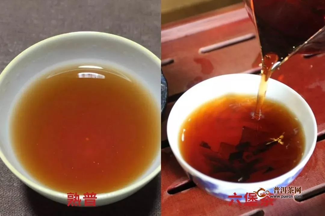熟普和六堡茶同属黑茶，怎样区别它们呢？