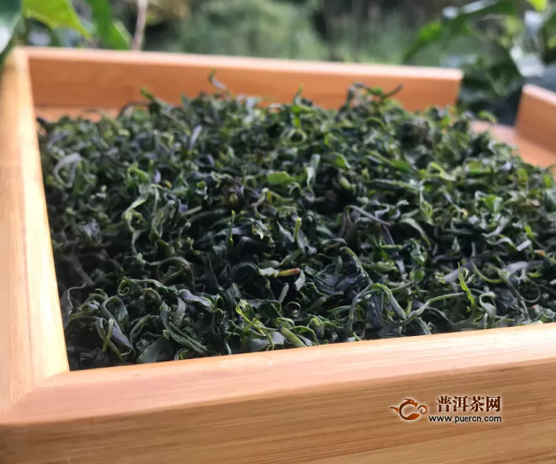 綠茶適合什么人群飲用