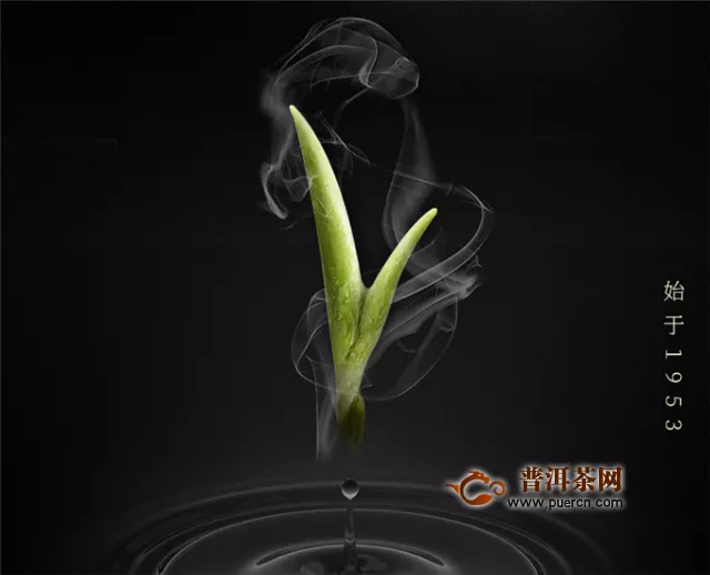 碧螺春茶葉有毛毛