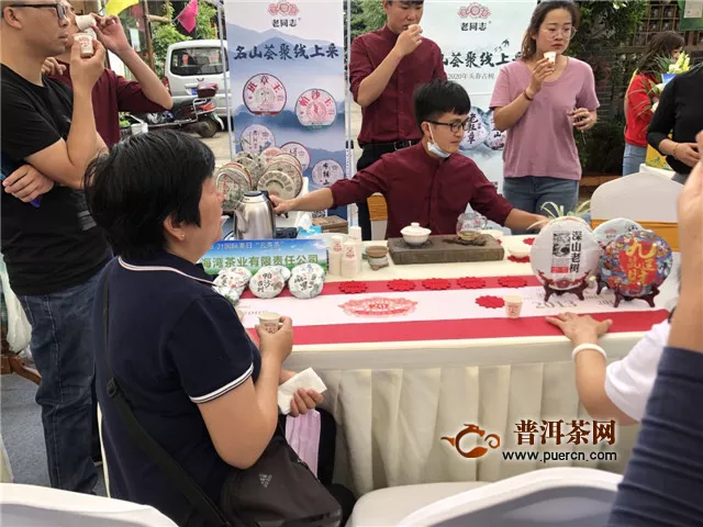 云南春茶线上采，5.21国际茶日“云茶荟”正式拉开帷幕