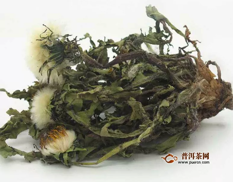 蒲公英和茉莉泡茶功效