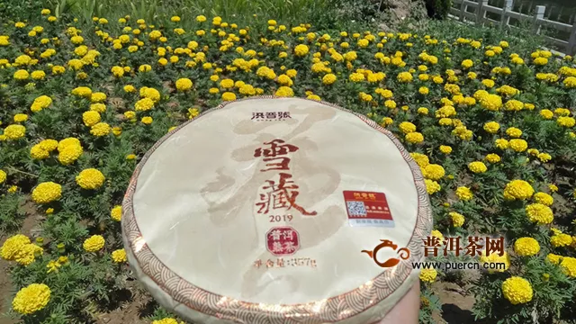 醇厚糯滑，優(yōu)雅若雪藏梅：2019年洪普號雪藏熟茶