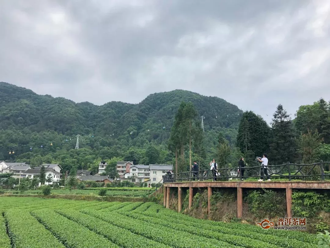 “锌硒凤茶、全球共享”茶产业推介会在凤冈隆重举行