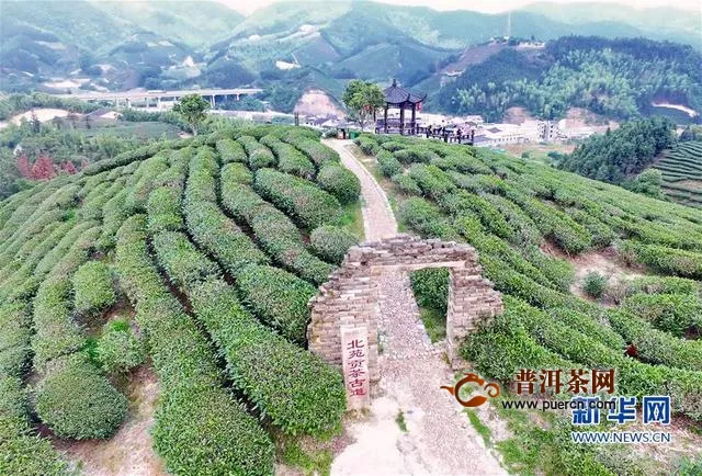 福建省今年前4个月出口茶叶7726吨，同比增长8.7%