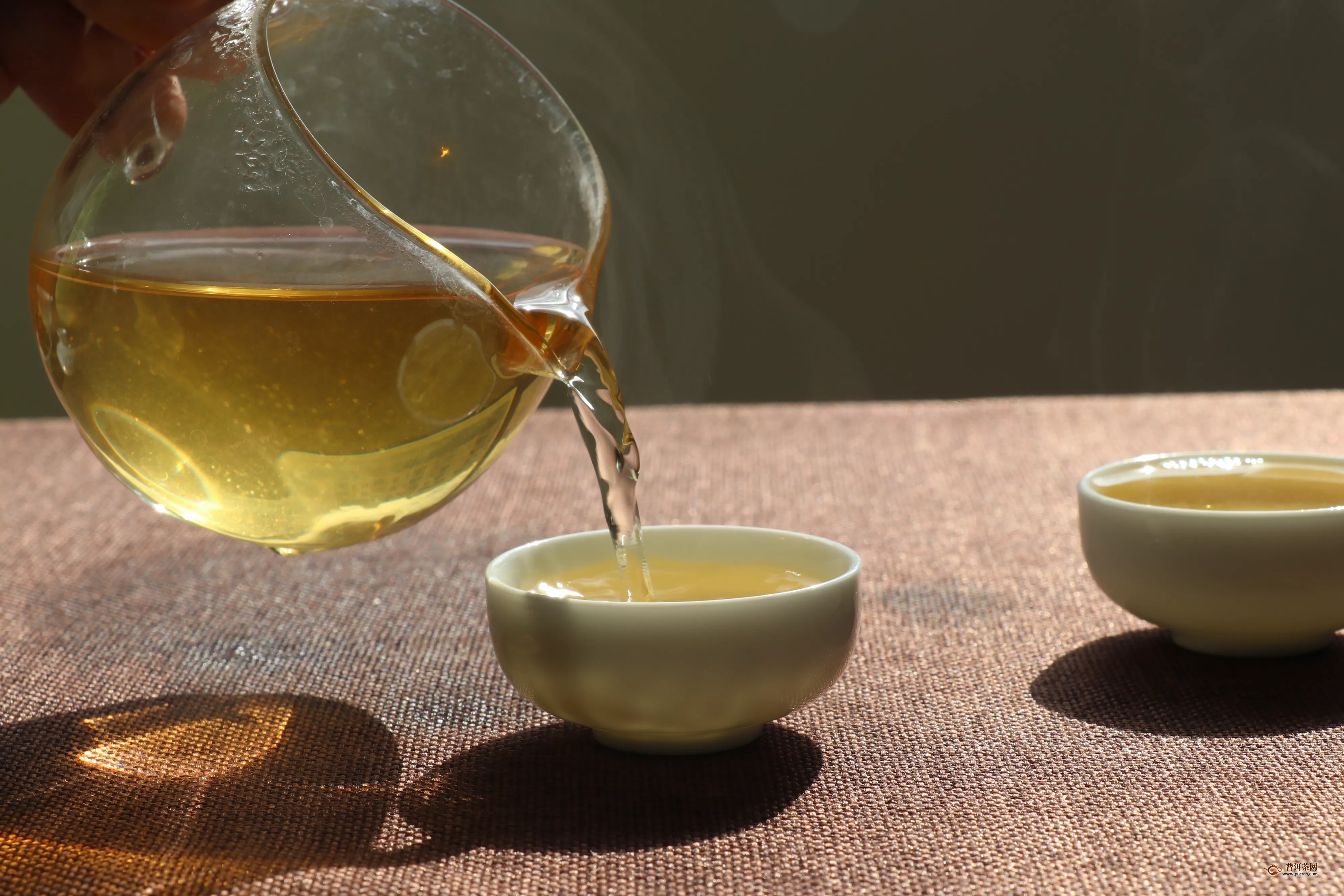 乔木普洱茶和古树普洱茶有什么区别？