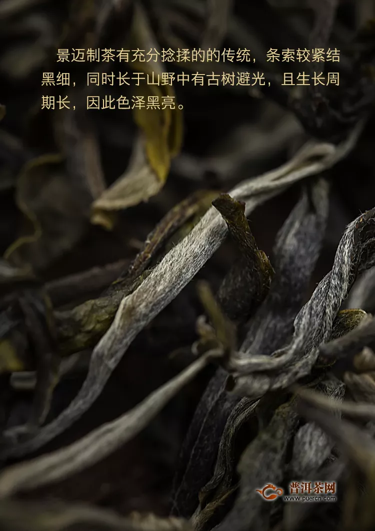 重要的歷史見證自然遺產(chǎn)，世界茶園的發(fā)祥地--景邁山