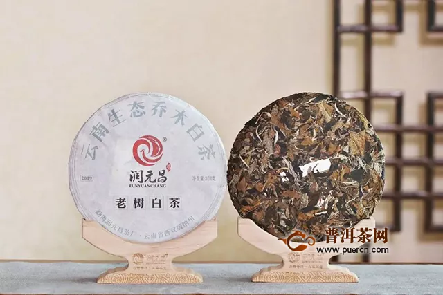 润元昌2019年老树白茶：大美天然，品一盏时间沉淀的自然本真味道