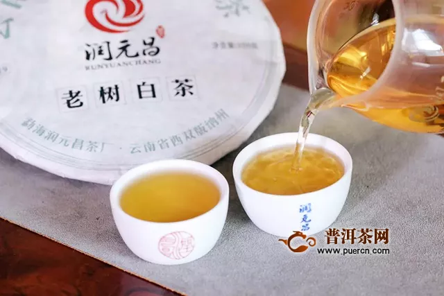 润元昌2019年老树白茶：大美天然，品一盏时间沉淀的自然本真味道