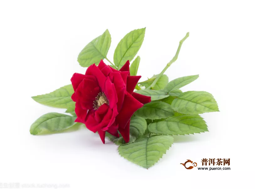 檸檬玫瑰花茶什么時(shí)間喝比較好