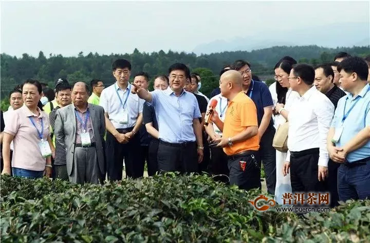 贵州茶产业发展大会，要把贵州建设成为茶产业强省！