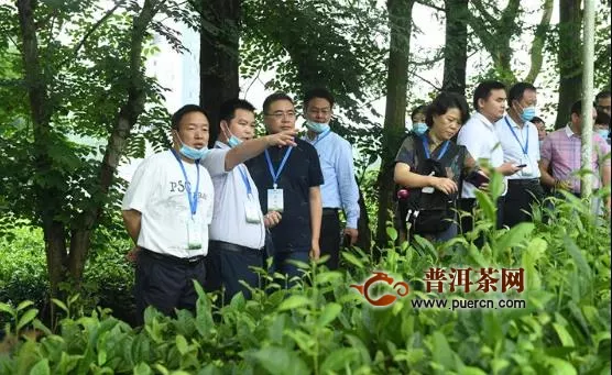 贵州茶产业发展大会，要把贵州建设成为茶产业强省！