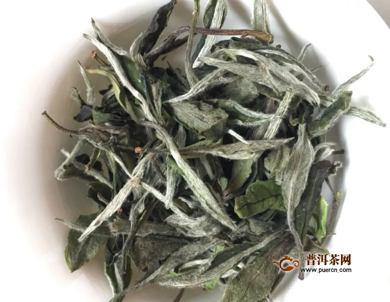 白茶的產(chǎn)地有哪些