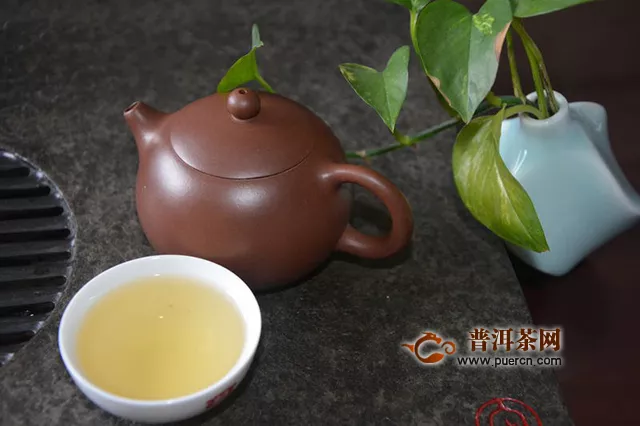 蜜甜香氣足：品飲2019年洪普號(hào)探秘系列蜂蜜琥珀生茶