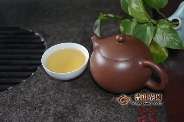 蜜甜香氣足：品飲2019年洪普號(hào)探秘系列蜂蜜琥珀生茶