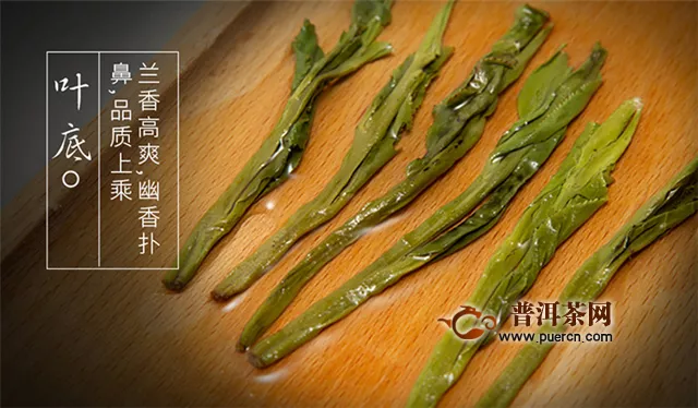 安吉白茶和太平猴魁的品質(zhì)特征和等級特征