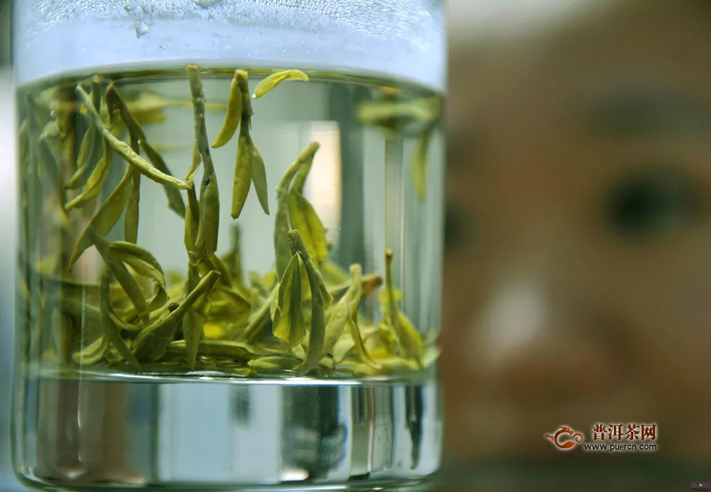 绿茶中著名的品种有哪些