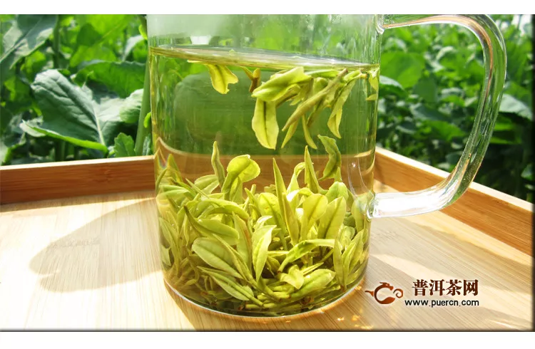 飲用綠茶的功效與相關(guān)禁忌	