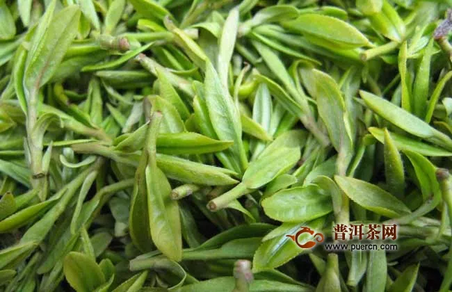 如何區(qū)分綠茶與花茶