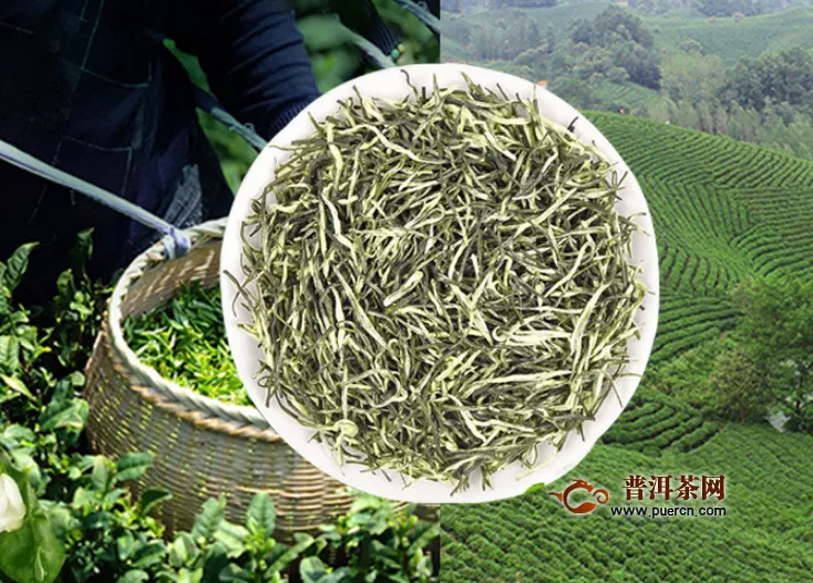 绿茶的作用及其有什么功效