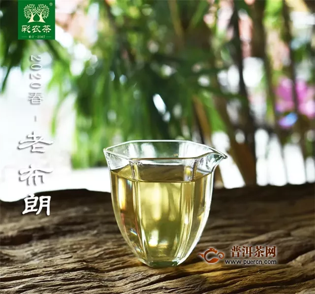 彩农茶：如何区分春茶和雨水茶?