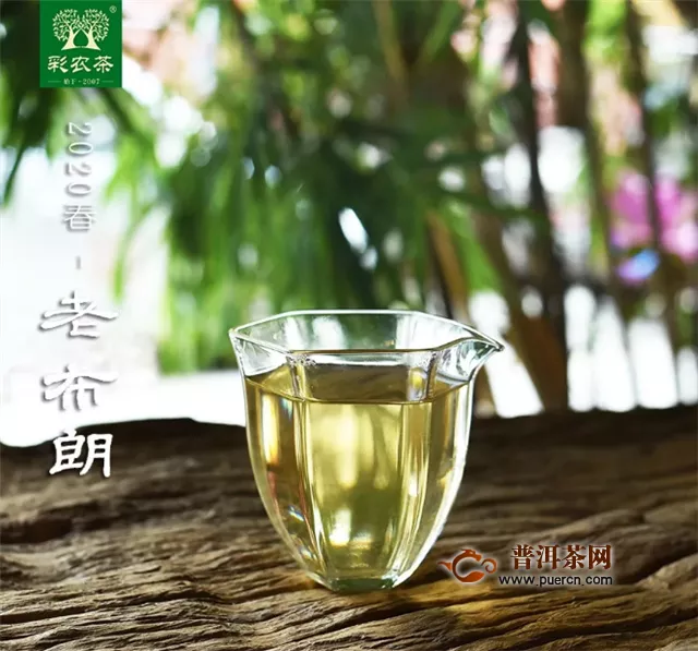 彩農(nóng)茶：如何區(qū)分春茶和雨水茶?