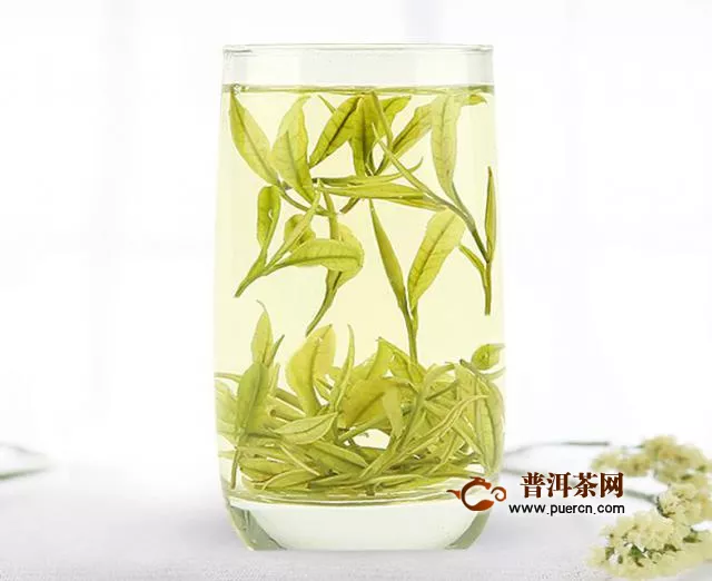 喝了安吉白茶有什么好處