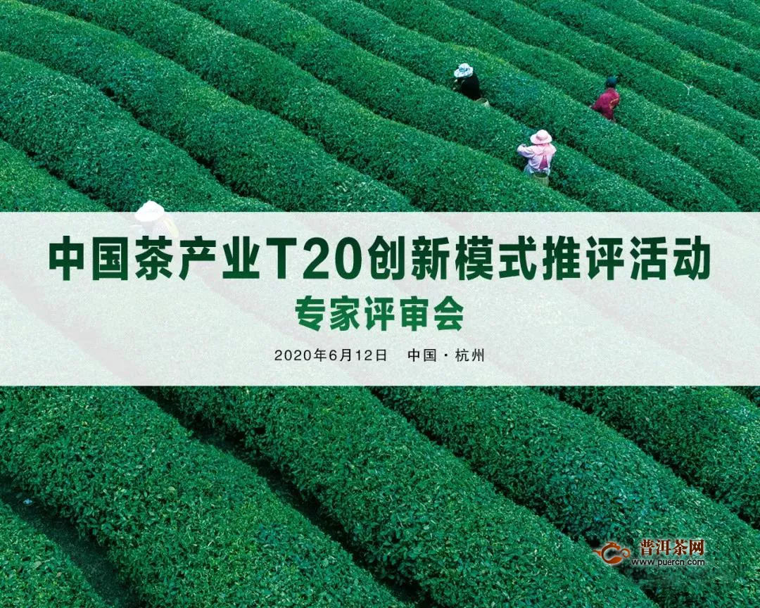 中国茶产业T20创新模式专家推评会在杭州举办