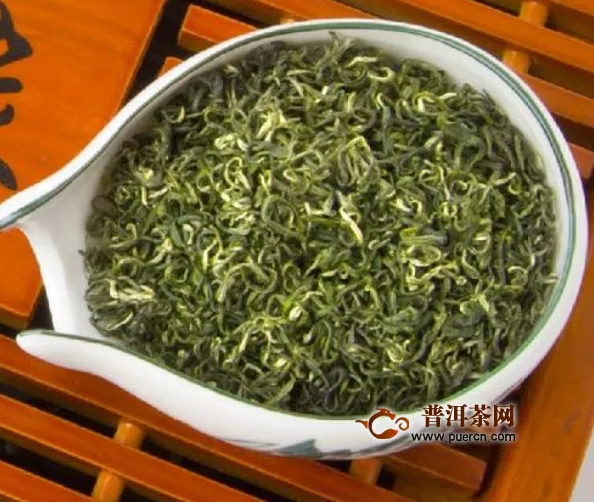 信阳毛尖是么什季节的茶