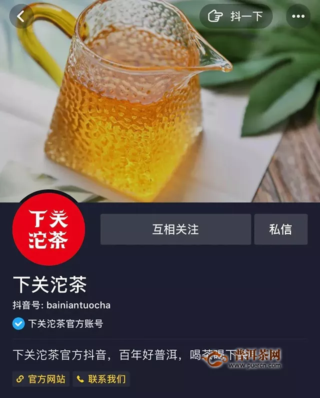 下关沱茶全国品鉴会：松鹤铁饼·经典传承