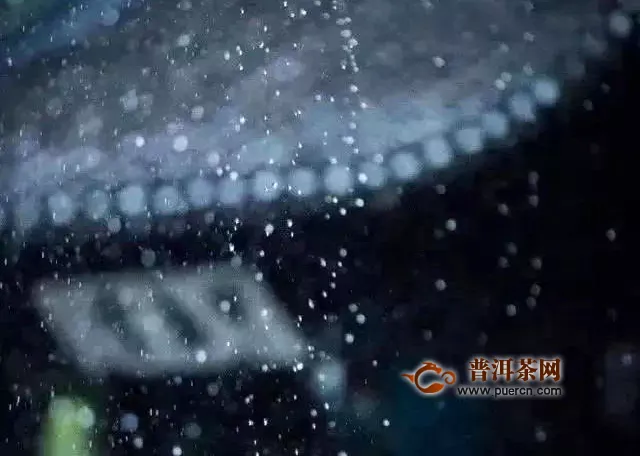 听夏雨，瀹雪藏，香甜甚好：2019年洪普号探秘系列雪藏