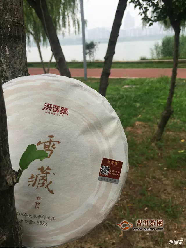 凉风夏雨时，清泉杯里茶：2019年洪普号探秘系列雪藏 生茶357克 