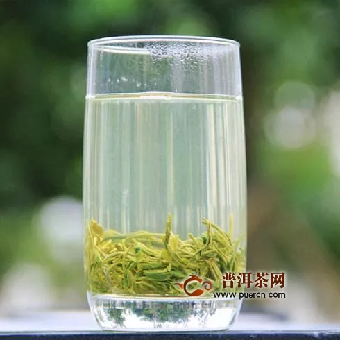 桂林毛尖茶属于什么茶