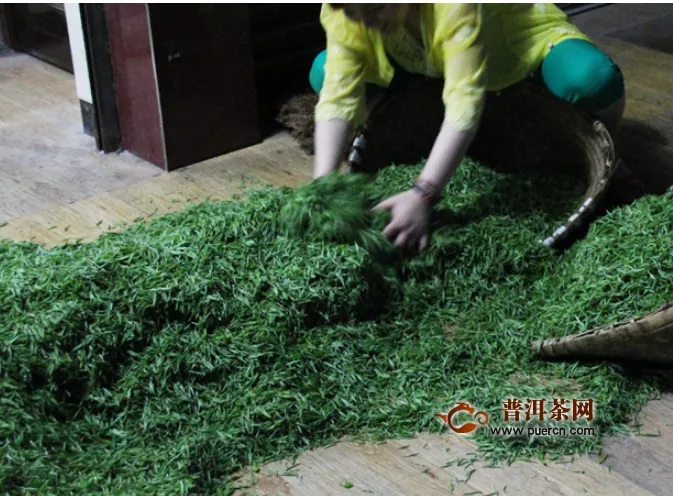 绿茶所具备的成分及其功效作用