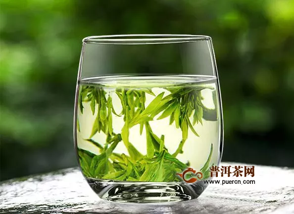 飲用綠茶的適宜人群