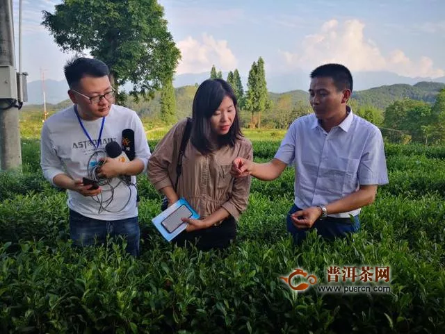 杨凌科技引领茶产业发展 试验示范站助推脱贫攻坚