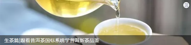 润元昌解惑茶铺：如何判断一款茶值不值得入手？