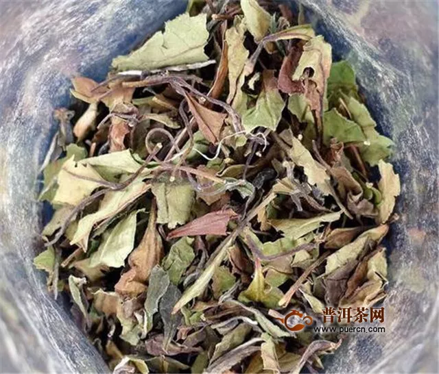 壽眉茶是綠茶還是紅茶呢？