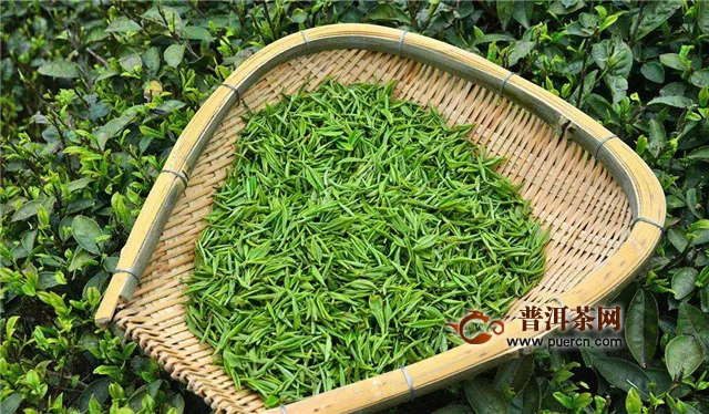 贵州都匀毛尖是绿茶