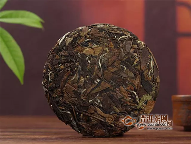福建寿眉茶是红茶还是绿茶