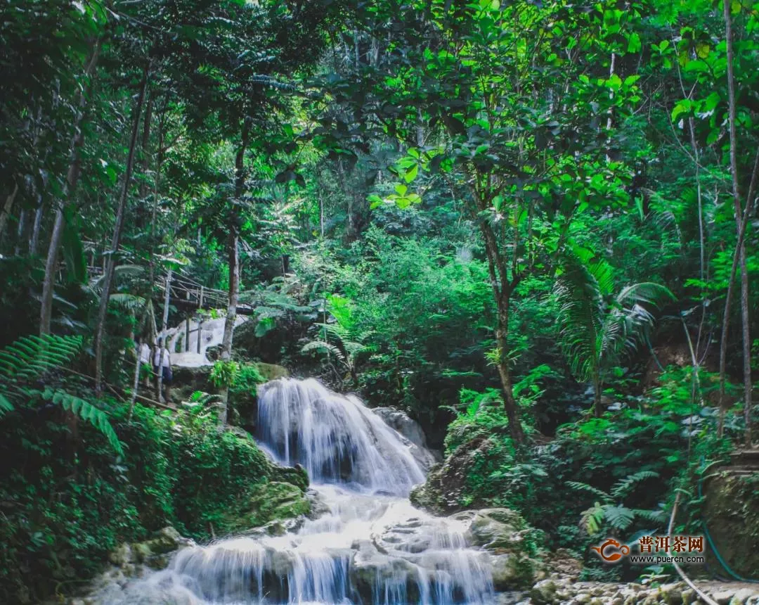 凤宁60s第25期：茶汤五要素之水质