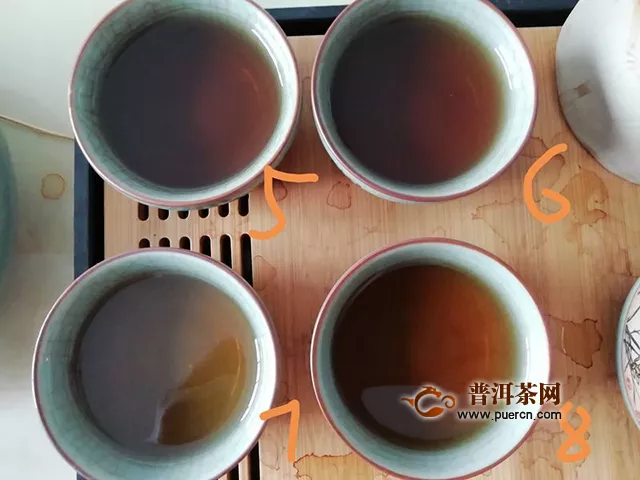 2019年七彩云南紫娟红，第二款试用茶